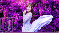 氣質(zhì)美女金莎XP主題