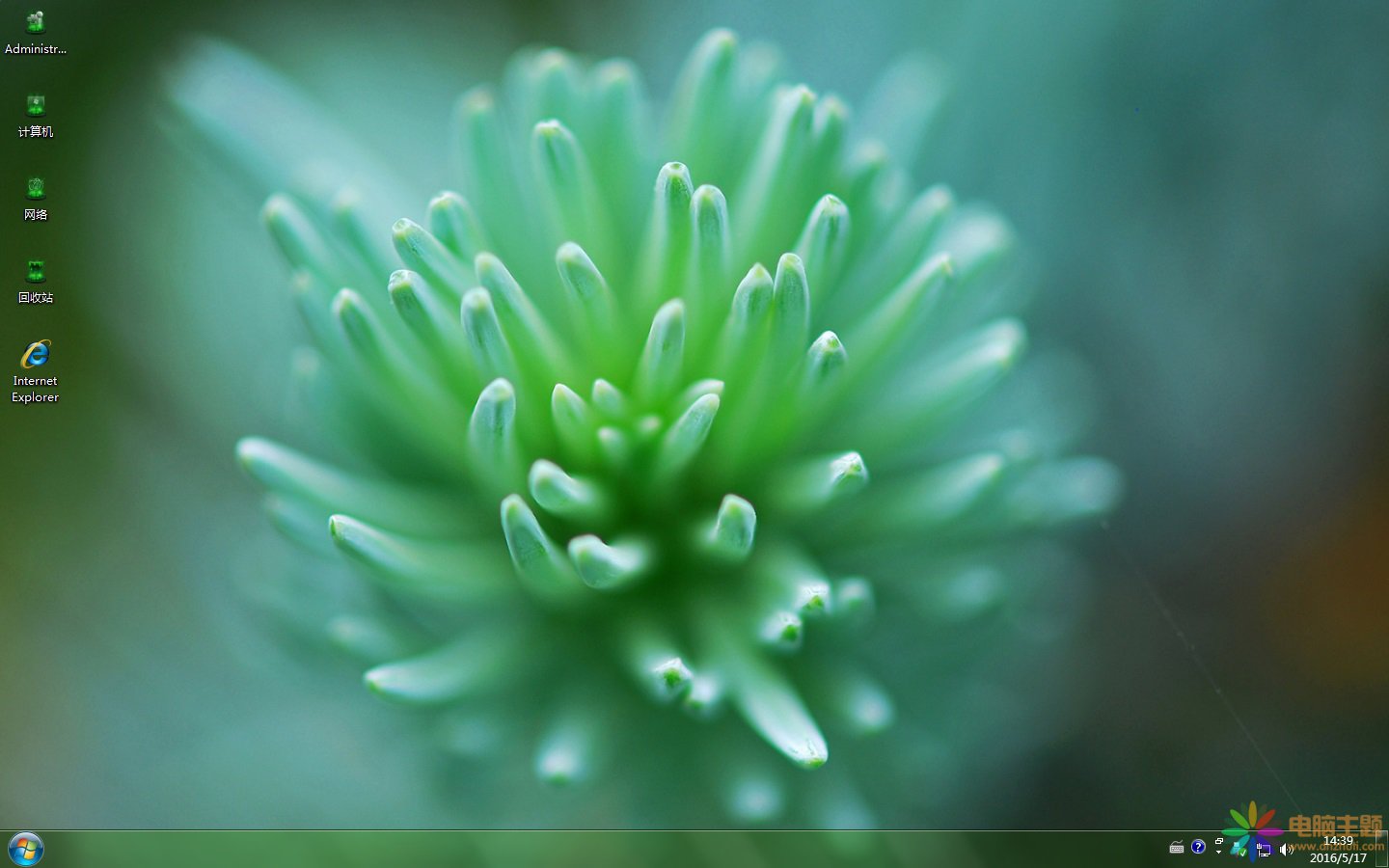 綠色護眼植物Win7主題