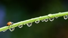 ƯСˮθڼ