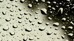 雨中玻璃高清壁紙