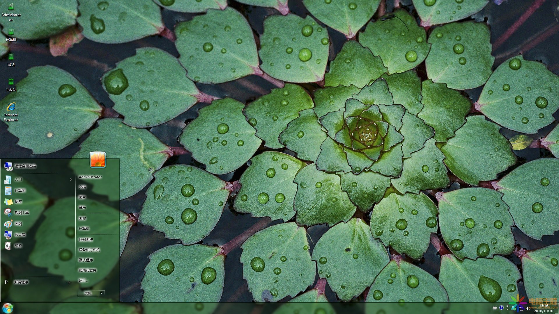 水生植物菱葉水龍Win7主題