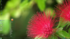 紅色合歡花Win7主題