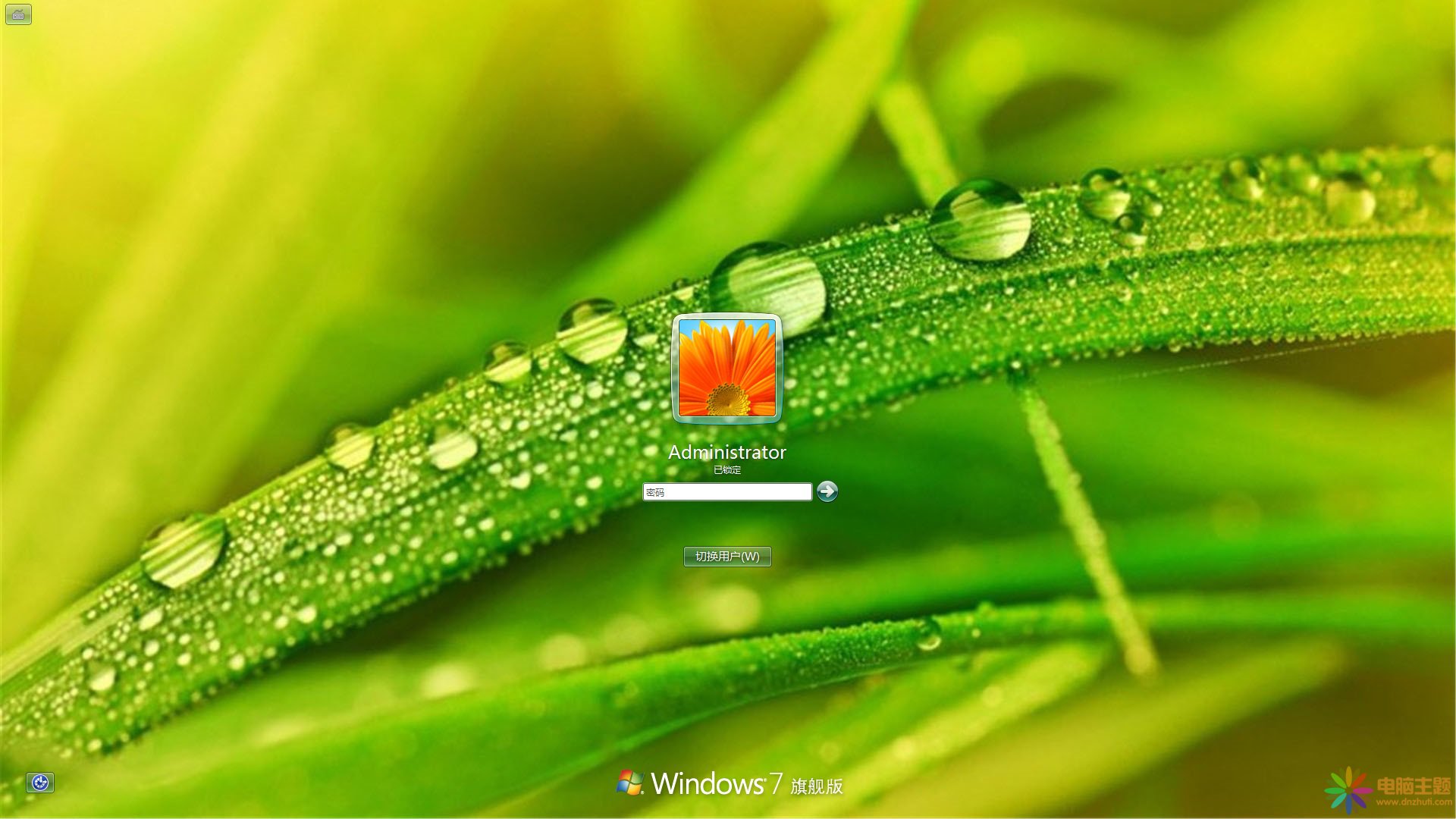 清新翠綠植物Win7主題
