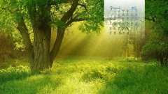 2017年3月唯美風(fēng)景日歷壁紙