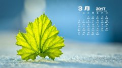 2017年3月月歷護(hù)眼壁紙圖片