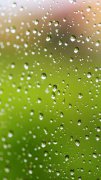 唯美窗戶雨滴手機(jī)壁紙