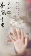《春風(fēng)十里不如你》宣傳海報手機(jī)壁紙