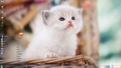 可愛加菲貓Win7主題