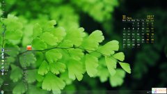 2017年11月日歷Win7主題