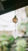 清新護(hù)眼靜物手機(jī)壁紙