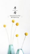 唯美清新早安文字手機(jī)壁紙