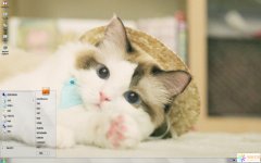 呆萌小花貓Win7主題