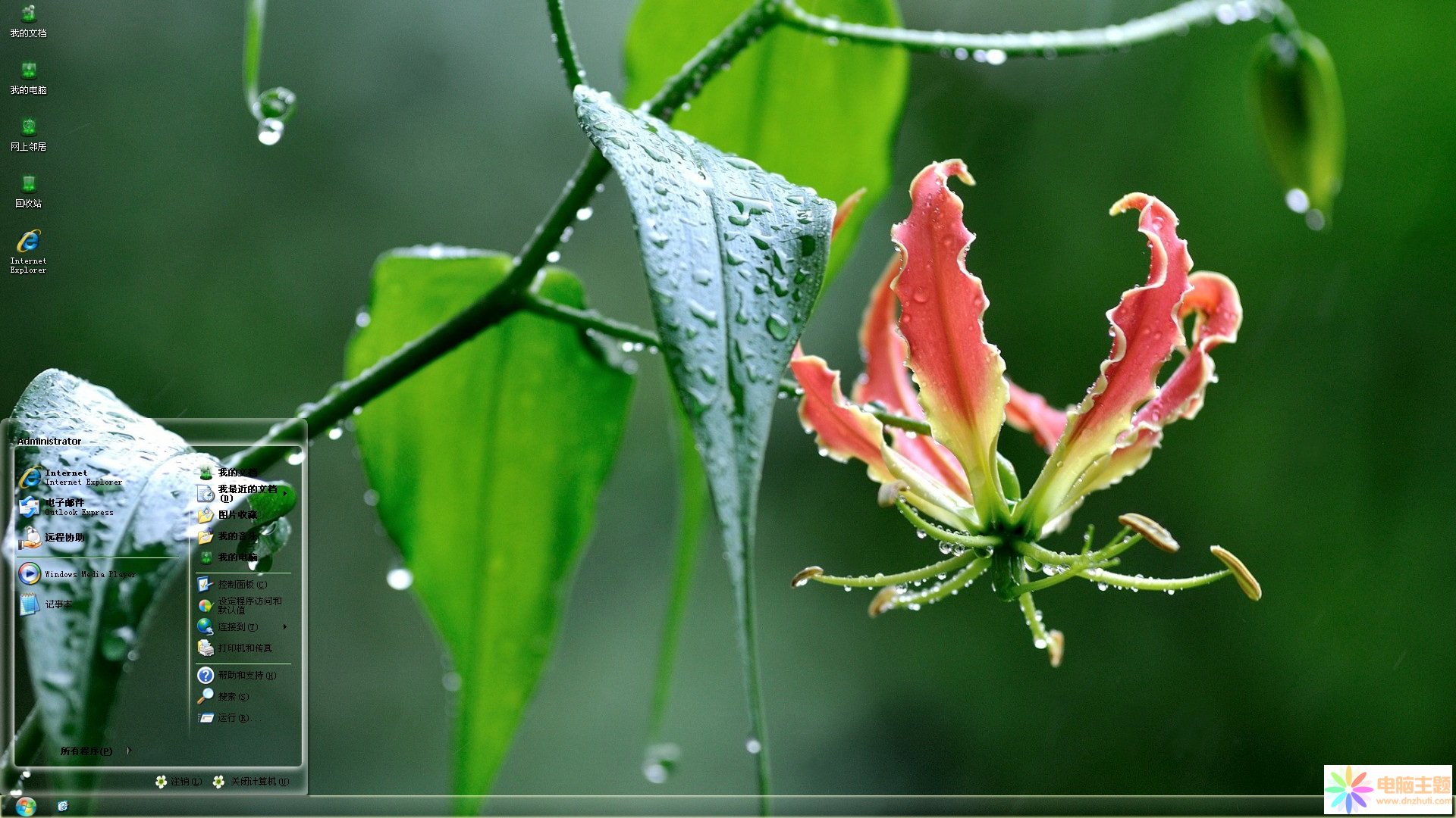 雨后清新花卉XP主題