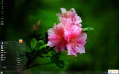 雨后清新杜鵑花Win7主題