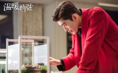 溫暖的弦張翰帥氣劇照桌面壁紙
