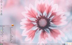 盛夏清新花卉Win7主題