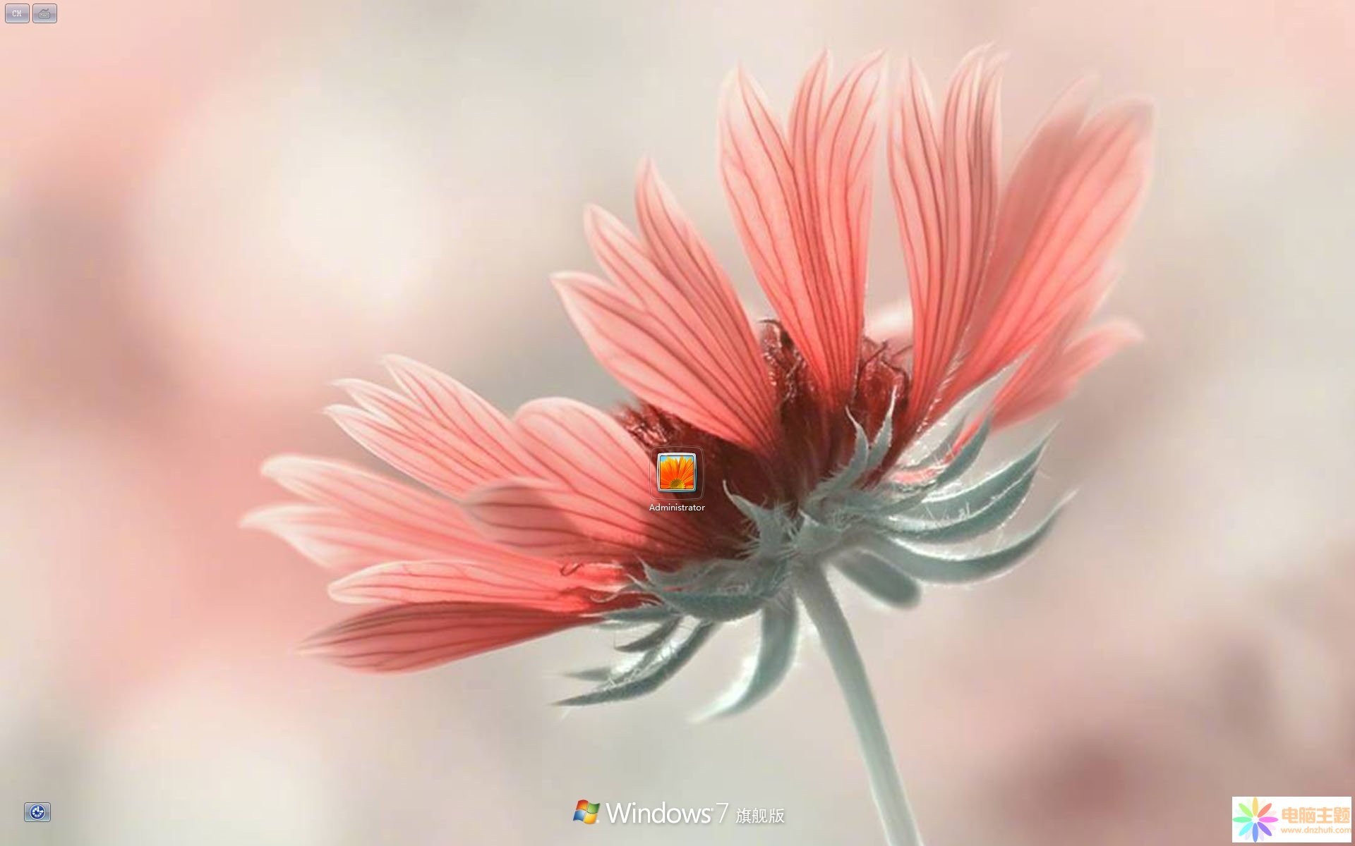 盛夏清新花卉Win7主題