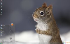 雪地可愛小松鼠Win7主題