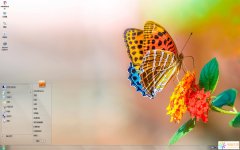 多彩艷麗蝴蝶Win7主題