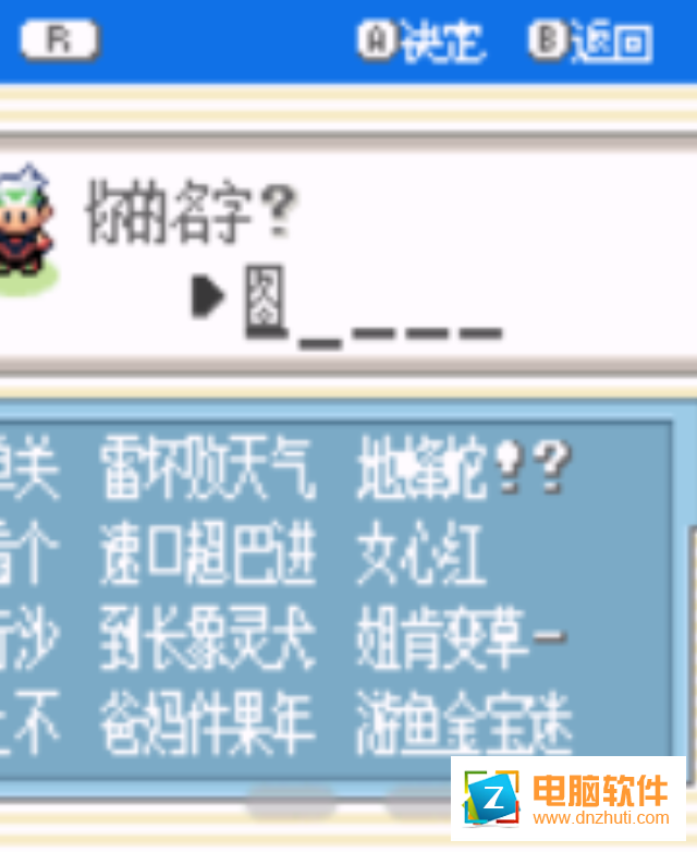 口袋妖怪綠寶石493版