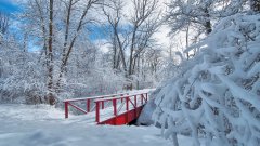 純美雪景電腦壁紙