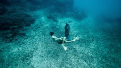 海底世界唯美電腦壁紙
