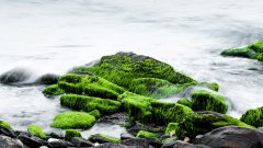 美麗的山間小溪風(fēng)景電腦壁紙