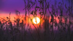 傍晚夕陽朦朧風(fēng)景電腦壁紙