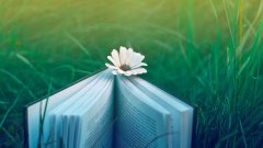 淡雅唯美書本電腦壁紙